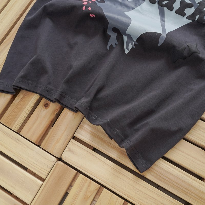 Футболка Broken Planet Hidden In The Dark "Gray" фото № 8