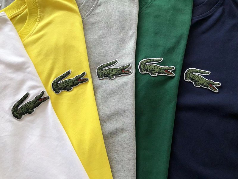 Футболка Lacoste Small Front Logo "Gray" фото № 2