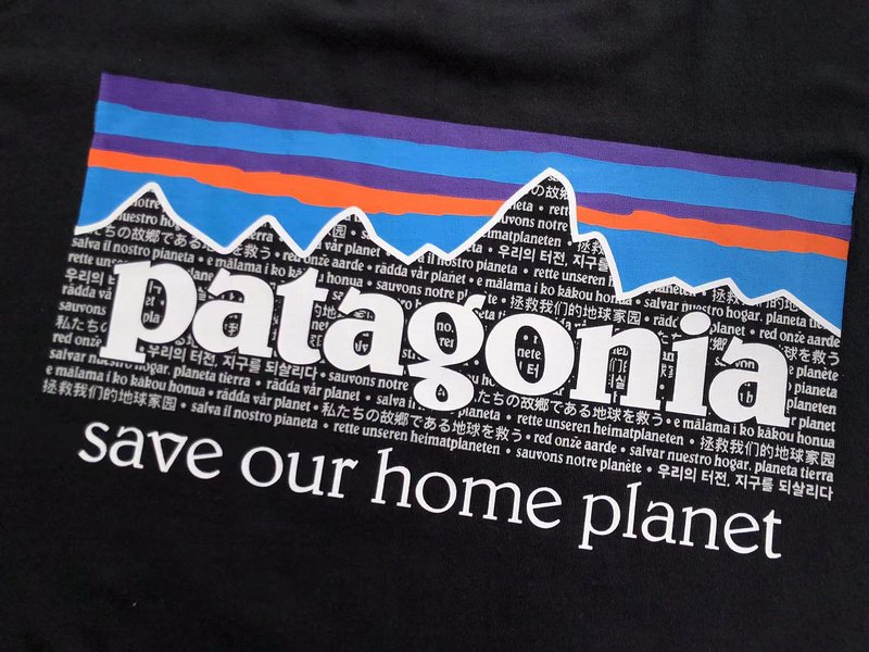 Футболка Patagonia Mountain View And Lettering Save Our Home Planet "Black" фото № 5