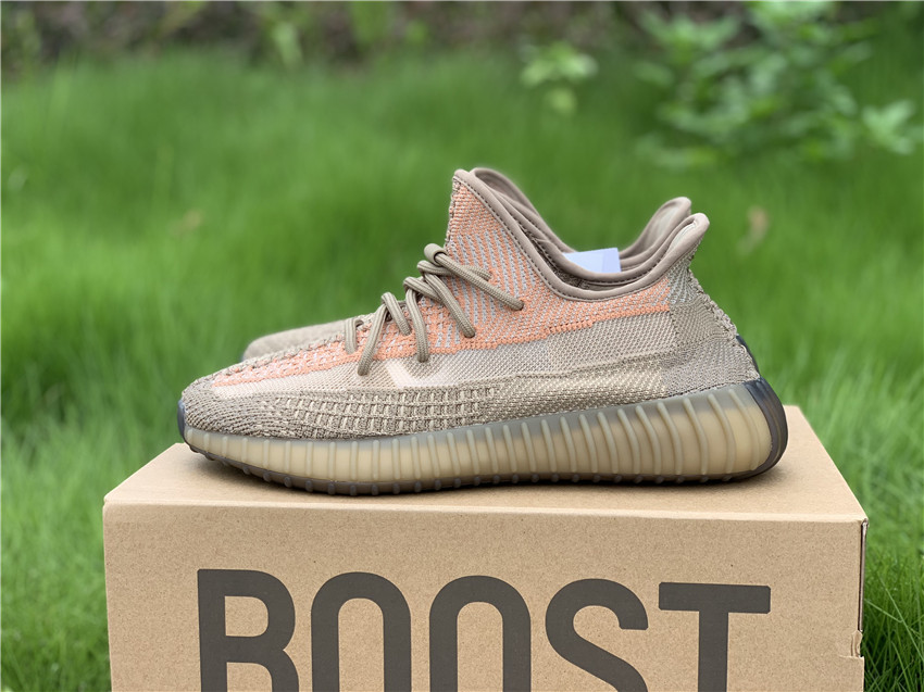 Adidas Yeezy Boost 350 V2 "Eliada" фото № 2