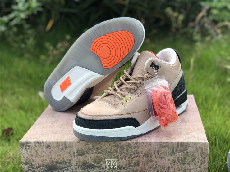 Air Jordan 3 jth "Bio beige" фото № 5
