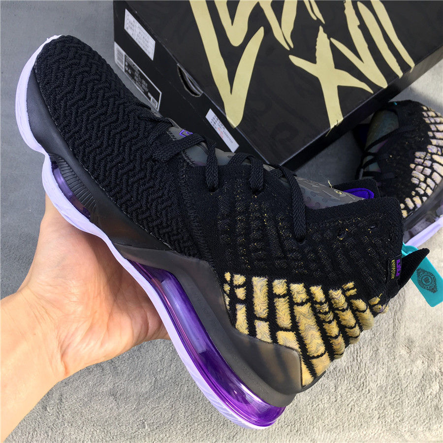 Nike LeBron 17 EP "Eggplant" фото № 3