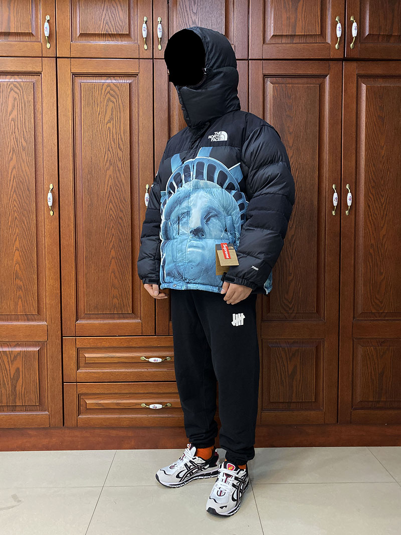 Пуховик Supreme x The North Face Statue of Liberty Baltoro Jacket "Black" фото № 8