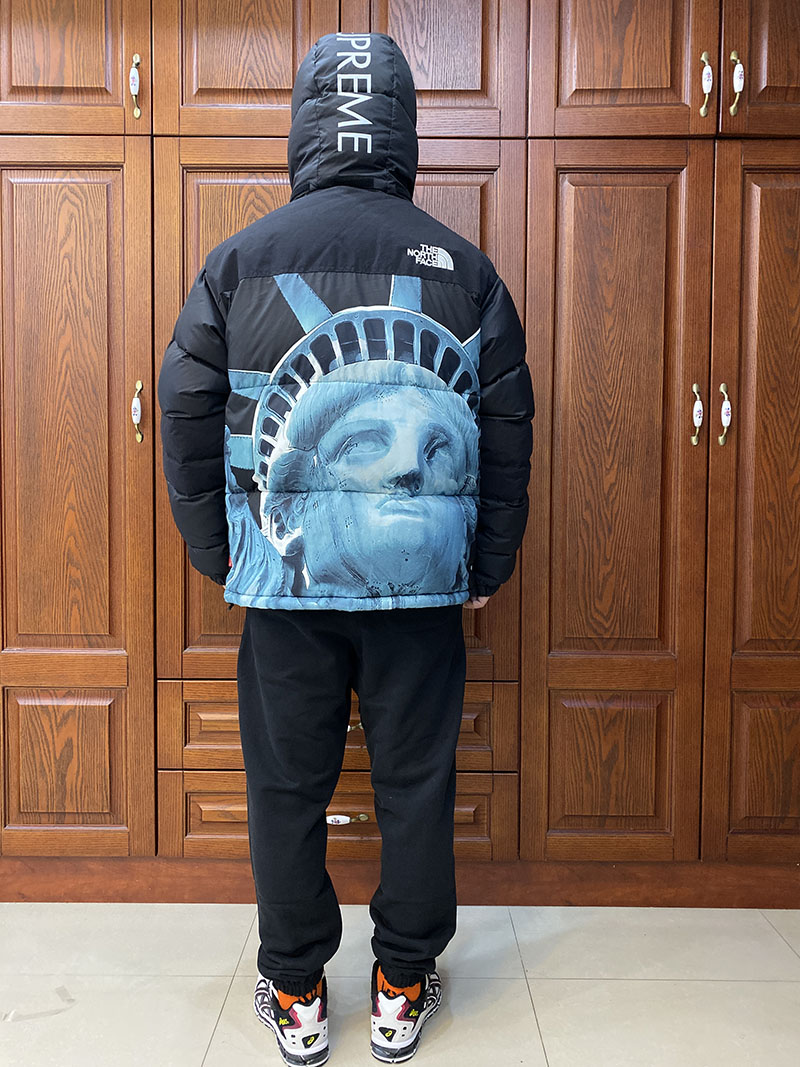 Пуховик Supreme x The North Face Statue of Liberty Baltoro Jacket "Black" фото № 9