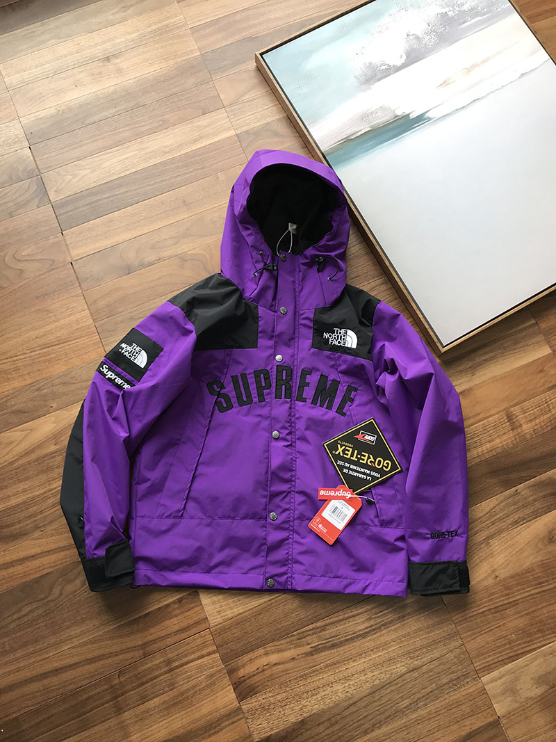 Куртка Supreme The North Face Arc Logo Mountain Parka "Purple" фото № 2