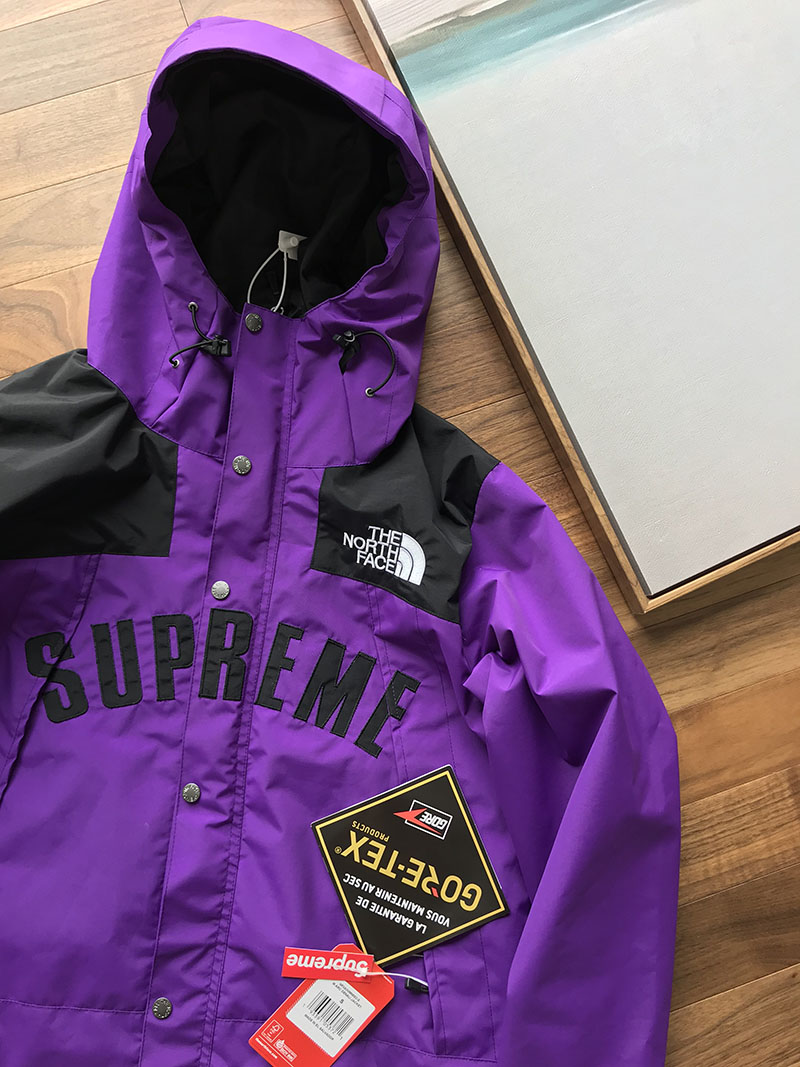 Куртка Supreme The North Face Arc Logo Mountain Parka "Purple" фото № 4