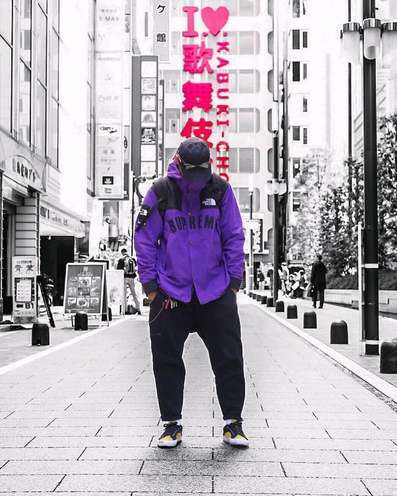 Куртка Supreme The North Face Arc Logo Mountain Parka "Purple" фото № 5