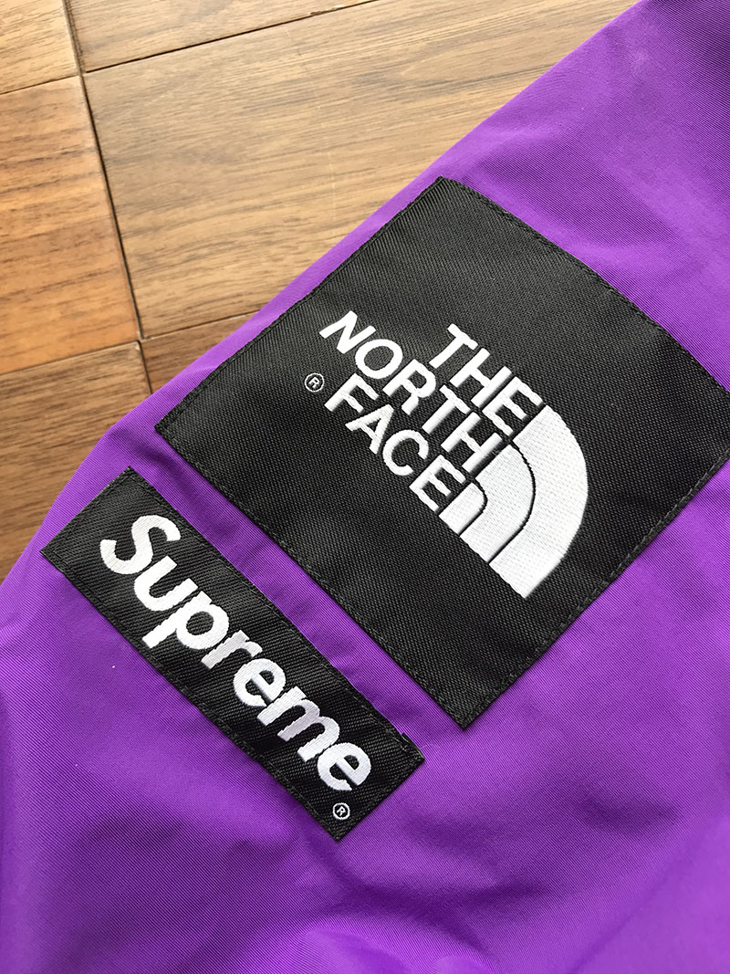 Куртка Supreme The North Face Arc Logo Mountain Parka "Purple" фото № 6