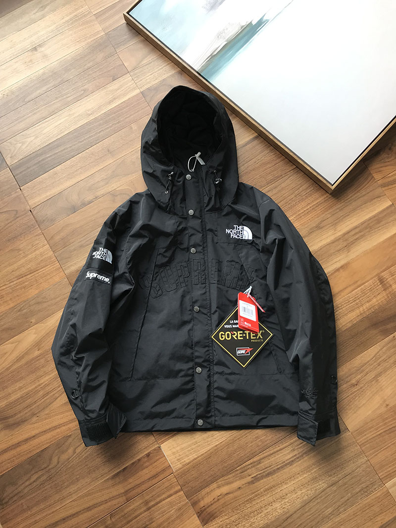Куртка Supreme The North Face Arc Logo Mountain Parka "Black" фото № 2