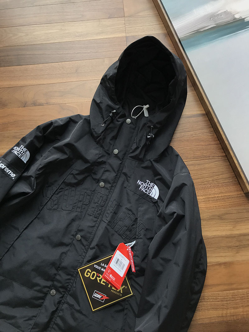 Куртка Supreme The North Face Arc Logo Mountain Parka "Black" фото № 4